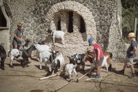 /album/fotogalerie-zabavni-park-mirakulum-milovice/mirakulum-park-milovice33-mini-zoo-jpg/